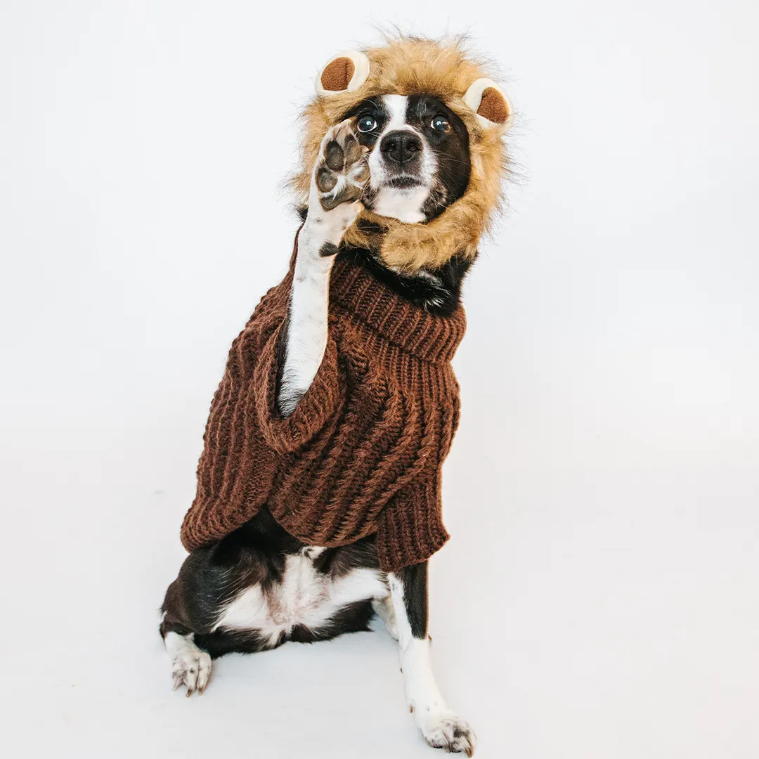 Dog Cable Knit Sweater - Brown