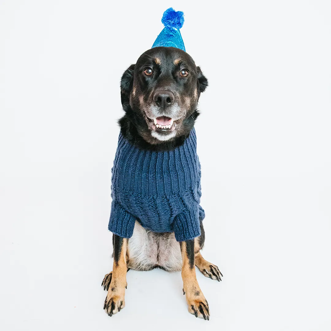 Dog Cable Knit Sweater - Navy