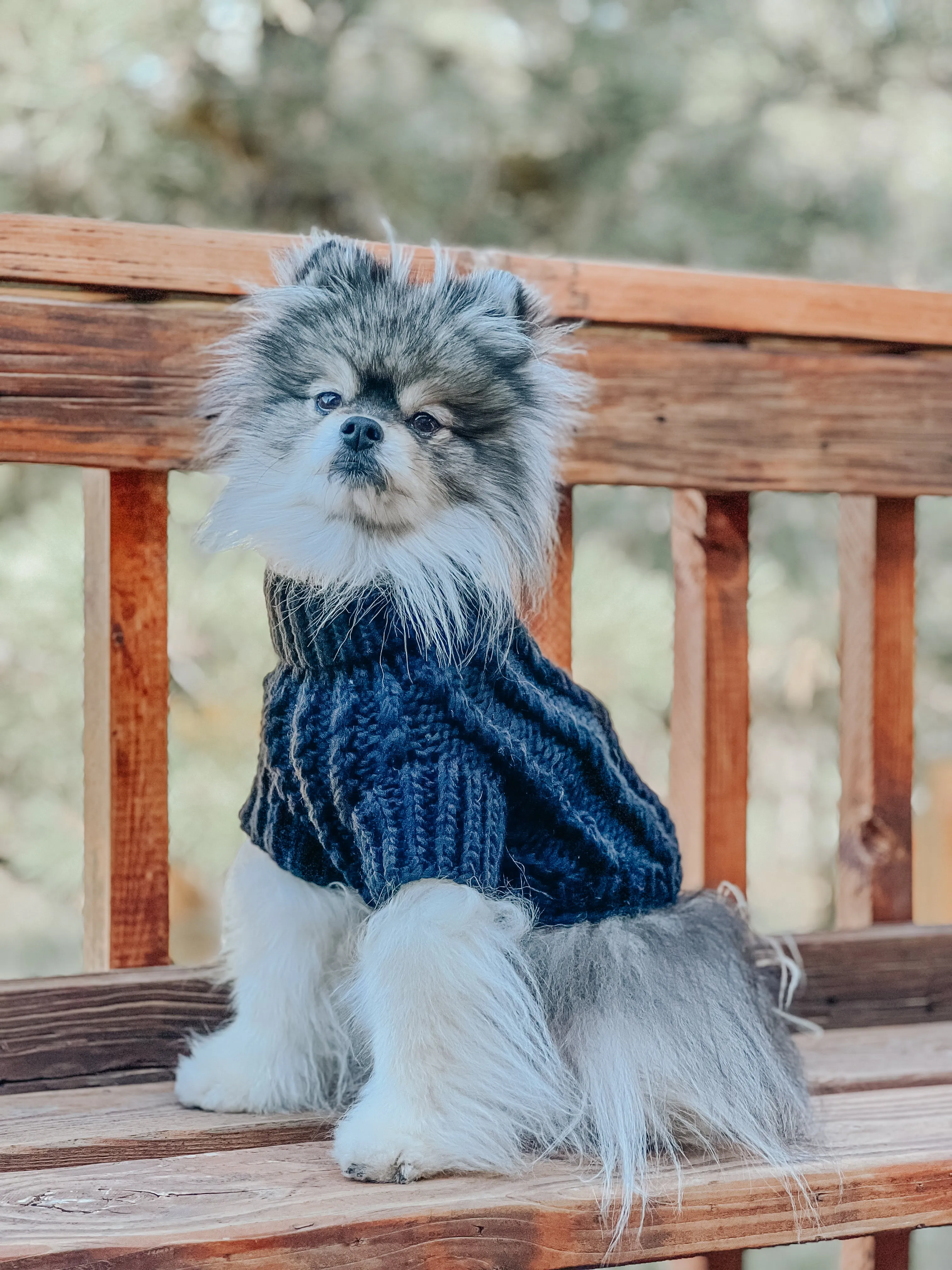 Dog Cable Knit Sweater - Navy