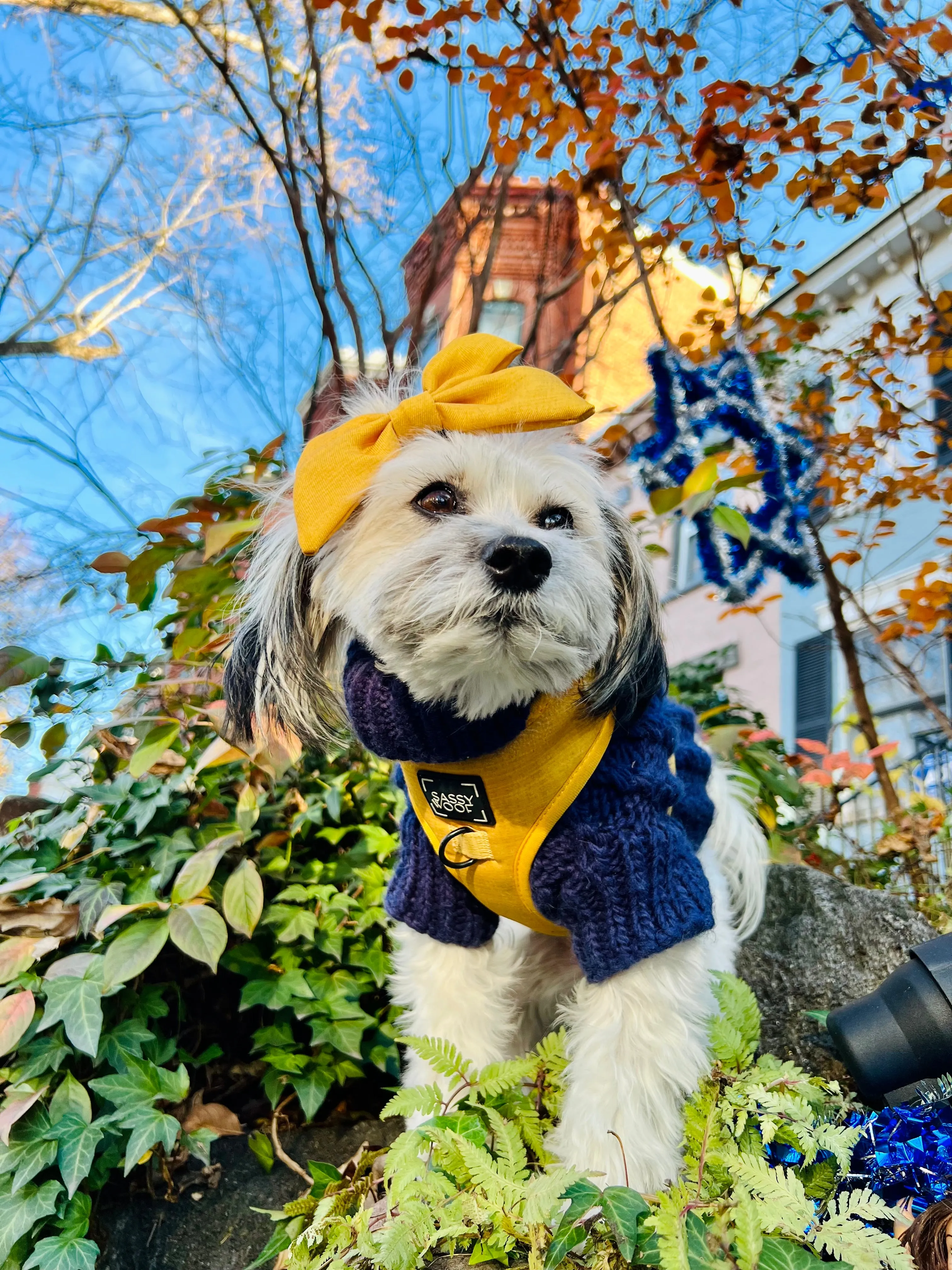 Dog Cable Knit Sweater - Navy