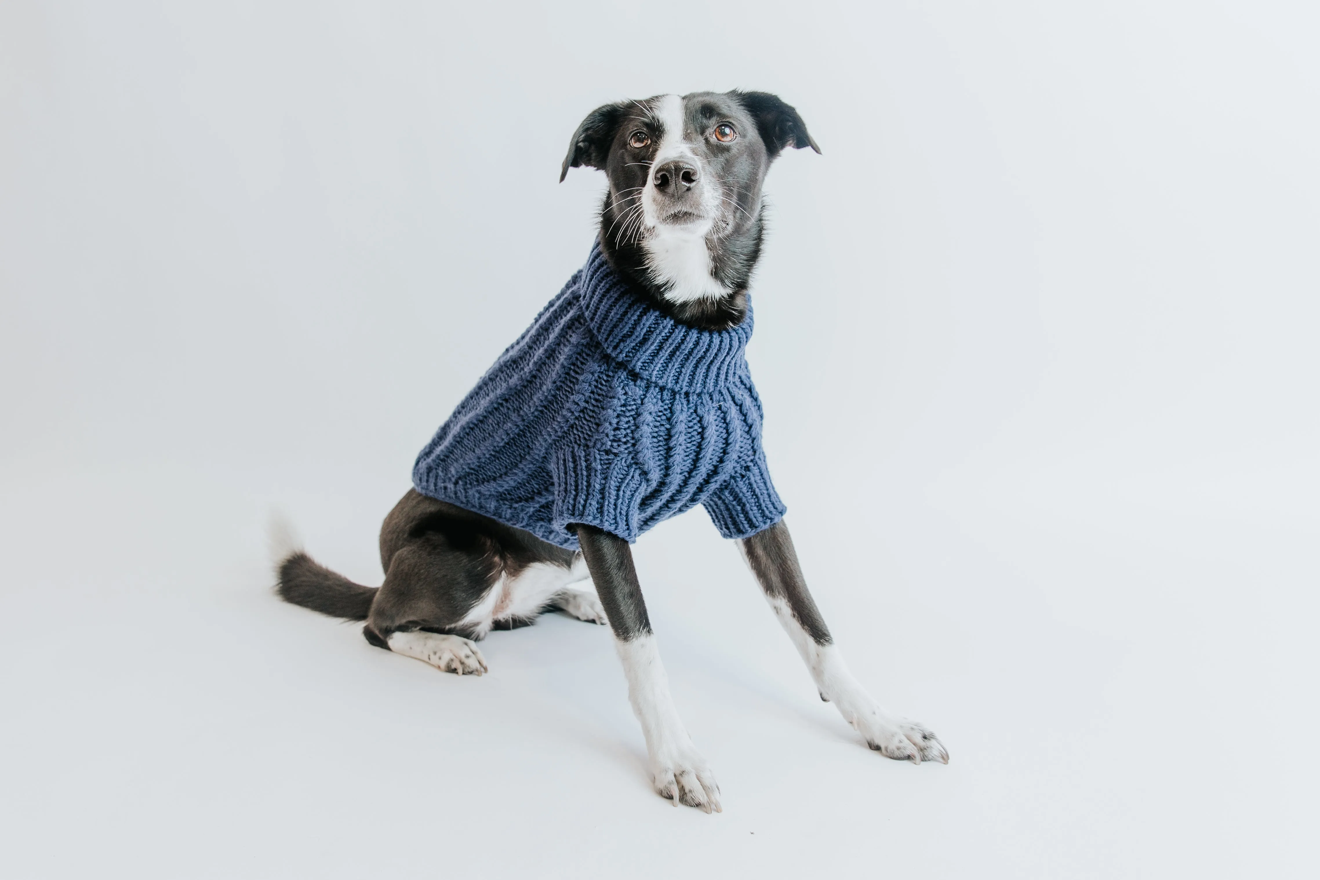 Dog Cable Knit Sweater - Navy