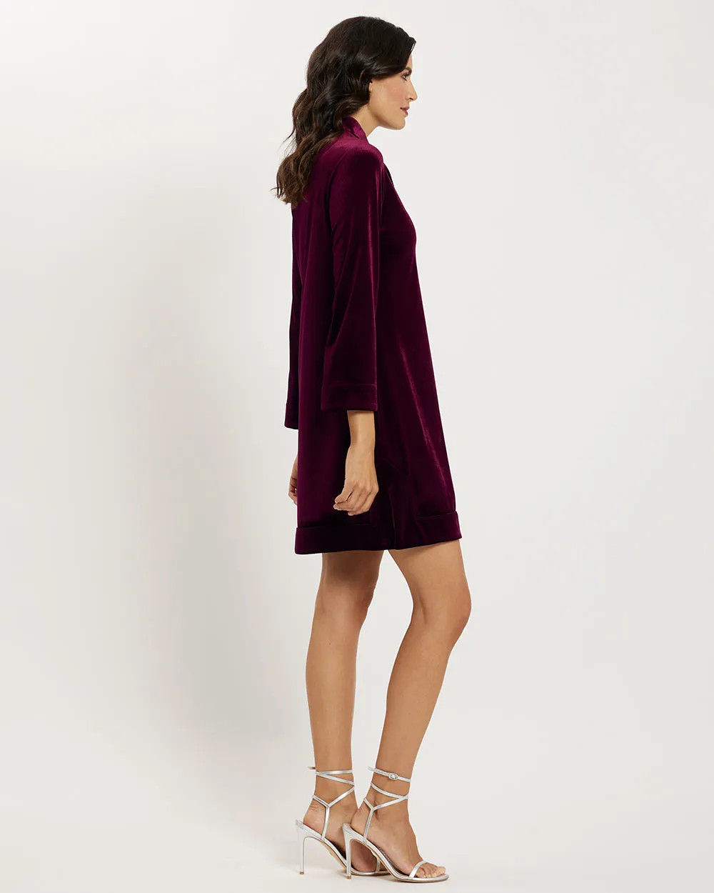 Kate Velvet Dress