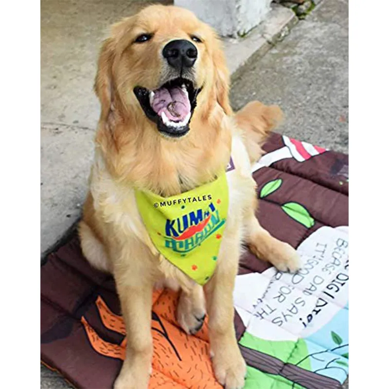Lana Paws KumbhKaran (Sleepyhead) Adjustable Dog Bandana/Scarf, Lime Green